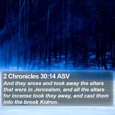 2 Chronicles 30:14 ASV Bible Verse Image