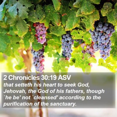 2 Chronicles 30:19 ASV Bible Verse Image