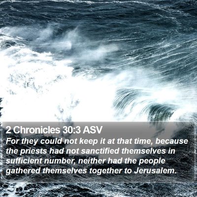 2 Chronicles 30:3 ASV Bible Verse Image
