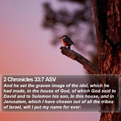 2 Chronicles 33:7 ASV Bible Verse Image