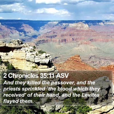 2 Chronicles 35:11 ASV Bible Verse Image