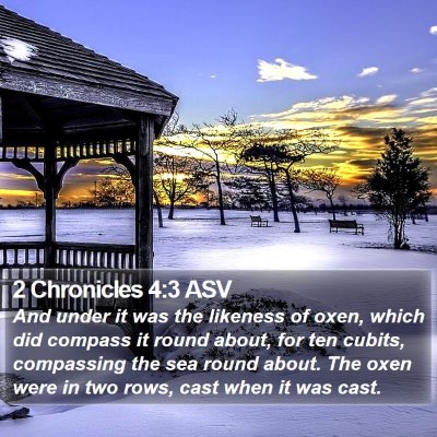 2 Chronicles 4:3 ASV Bible Verse Image