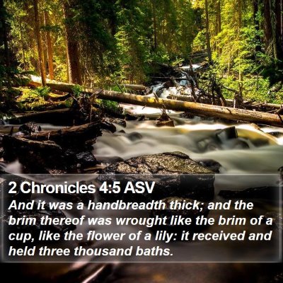 2 Chronicles 4:5 ASV Bible Verse Image