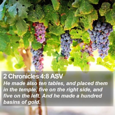 2 Chronicles 4:8 ASV Bible Verse Image