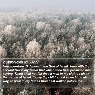 2 Chronicles 6:16 ASV Bible Verse Image