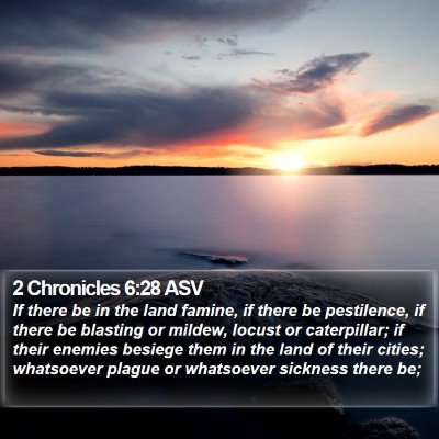 2 Chronicles 6:28 ASV Bible Verse Image