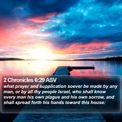 2 Chronicles 6:29 ASV Bible Verse Image