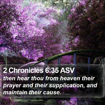 2 Chronicles 6:35 ASV Bible Verse Image