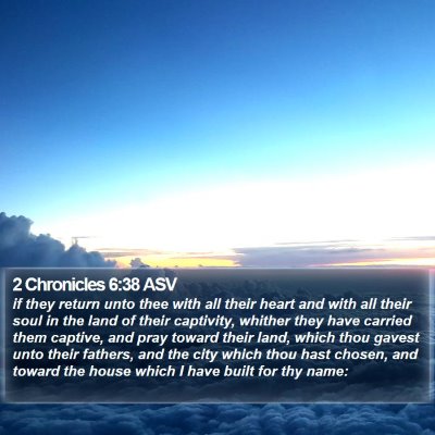 2 Chronicles 6:38 ASV Bible Verse Image