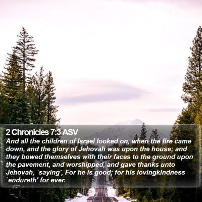 2 Chronicles 7:3 ASV Bible Verse Image