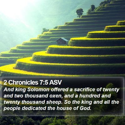 2 Chronicles 7:5 ASV Bible Verse Image