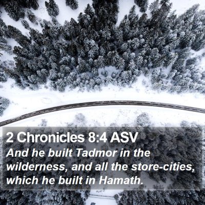 2 Chronicles 8:4 ASV Bible Verse Image