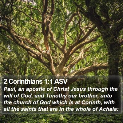 2 Corinthians 1:1 ASV Bible Verse Image