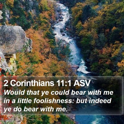 2 Corinthians 11:1 ASV Bible Verse Image
