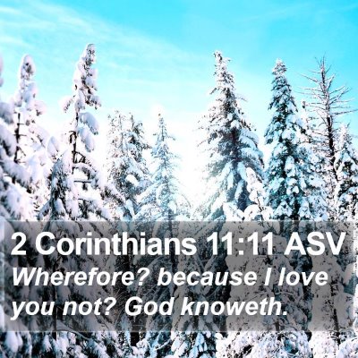 2 Corinthians 11:11 ASV Bible Verse Image