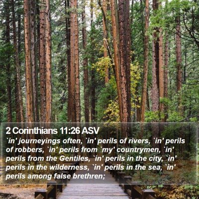 2 Corinthians 11:26 ASV Bible Verse Image