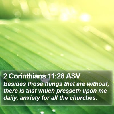 2 Corinthians 11:28 ASV Bible Verse Image