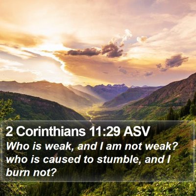 2 Corinthians 11:29 ASV Bible Verse Image