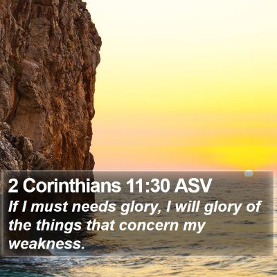 2 Corinthians 11:30 ASV Bible Verse Image