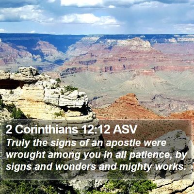 2 Corinthians 12:12 ASV Bible Verse Image