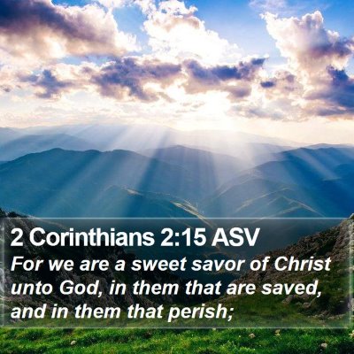 2 Corinthians 2:15 ASV Bible Verse Image