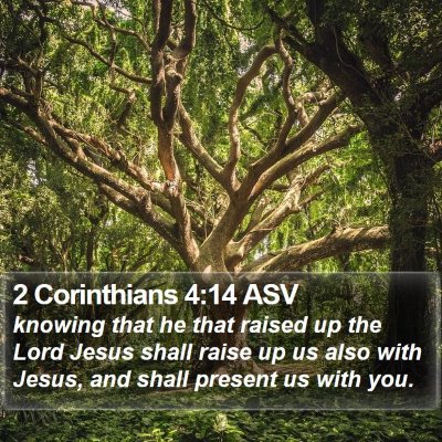 2 Corinthians 4:14 ASV Bible Verse Image