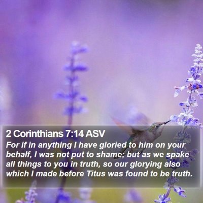 2 Corinthians 7:14 ASV Bible Verse Image