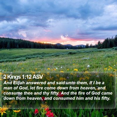 2 Kings 1:12 ASV Bible Verse Image