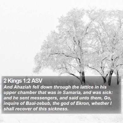 2 Kings 1:2 ASV Bible Verse Image