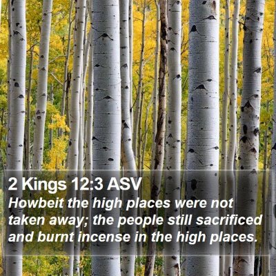 2 Kings 12:3 ASV Bible Verse Image
