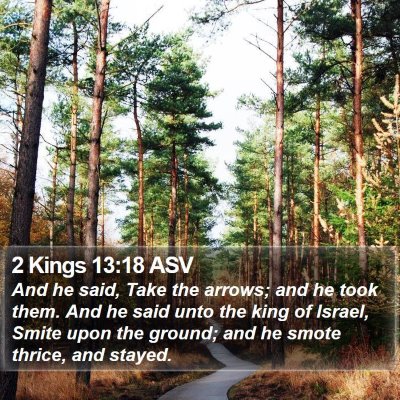 2 Kings 13:18 ASV Bible Verse Image