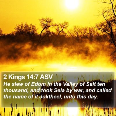 2 Kings 14:7 ASV Bible Verse Image