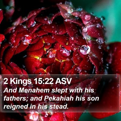 2 Kings 15:22 ASV Bible Verse Image
