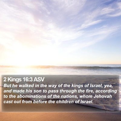 2 Kings 16:3 ASV Bible Verse Image