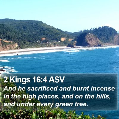 2 Kings 16:4 ASV Bible Verse Image