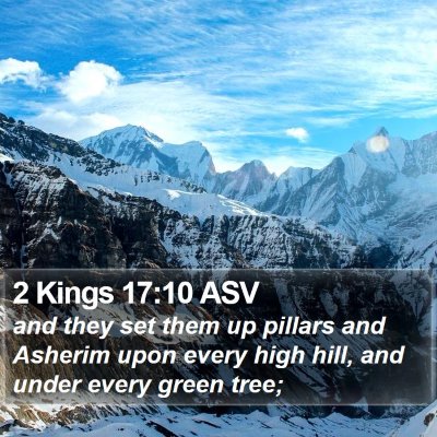 2 Kings 17:10 ASV Bible Verse Image