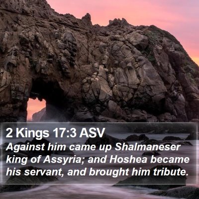 2 Kings 17:3 ASV Bible Verse Image