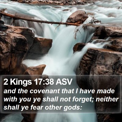 2 Kings 17:38 ASV Bible Verse Image