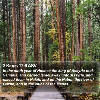 2 Kings 17:6 ASV Bible Verse Image