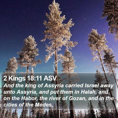 2 Kings 18:11 ASV Bible Verse Image