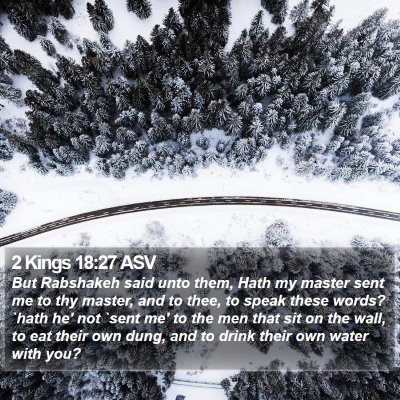 2 Kings 18:27 ASV Bible Verse Image