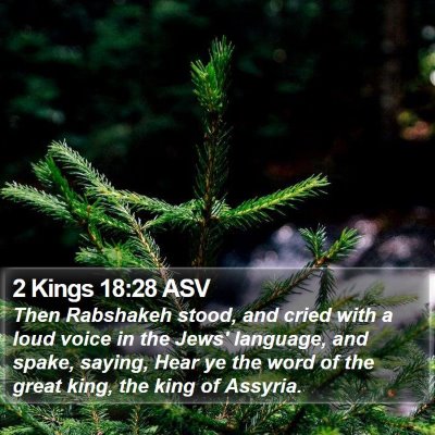 2 Kings 18:28 ASV Bible Verse Image
