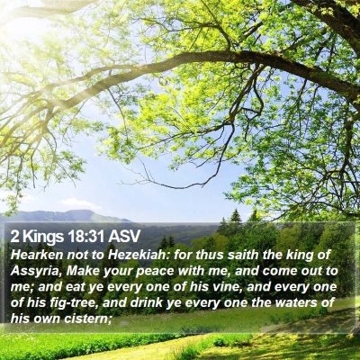2 Kings 18:31 ASV Bible Verse Image