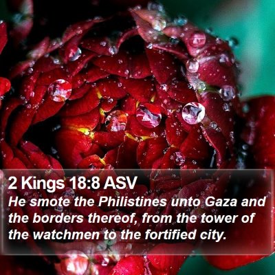 2 Kings 18:8 ASV Bible Verse Image
