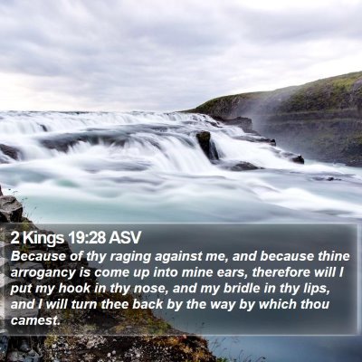 2 Kings 19:28 ASV Bible Verse Image