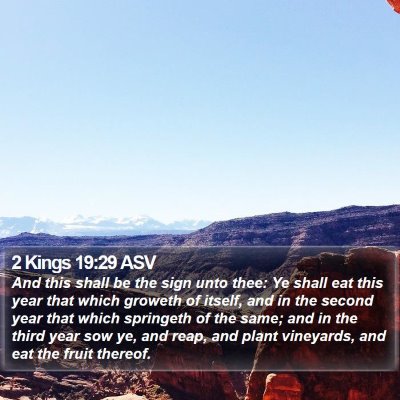 2 Kings 19:29 ASV Bible Verse Image