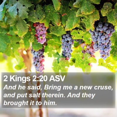 2 Kings 2:20 ASV Bible Verse Image