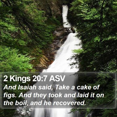 2 Kings 20:7 ASV Bible Verse Image