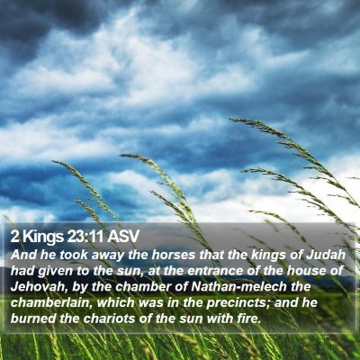 2 Kings 23:11 ASV Bible Verse Image