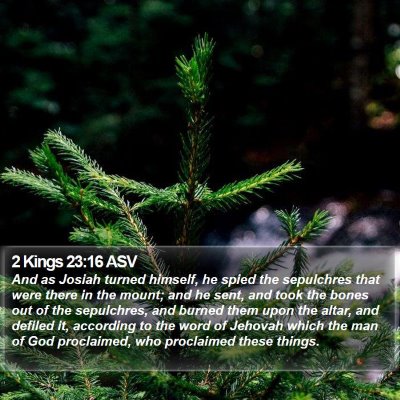 2 Kings 23:16 ASV Bible Verse Image